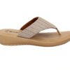 inblu Stylish Fashion Sandal/Slipper for Women | Comfortable | Lightweight | Anti Skid | Casual Office Footwear (LF01_BRNGMG) - Image 15